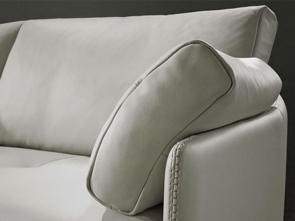 Swina sectional4 Swina sectional4